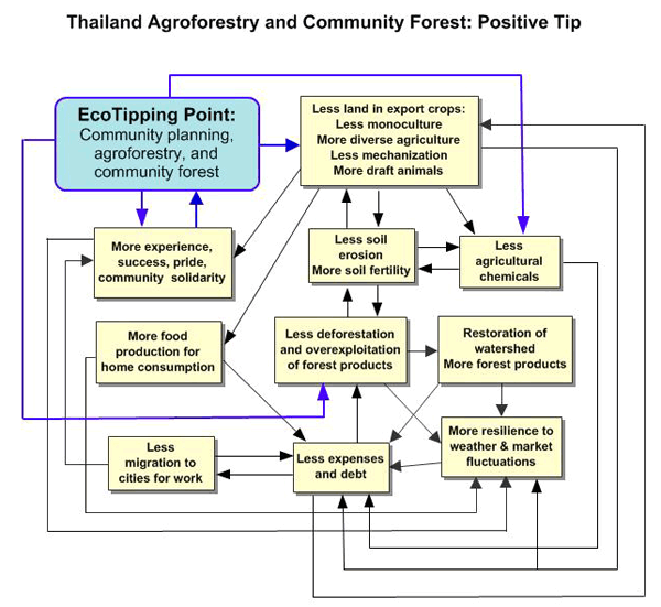 Thailand Forests Positive Tip