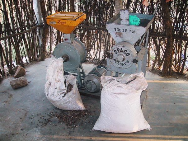 朋努卡拉村的印楝树种子研磨机。