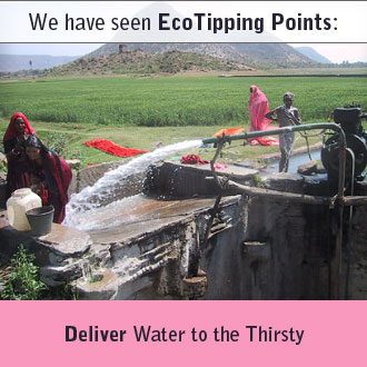 Water Warriors: Rainwater Harvesting to Replenish Underground Water (Rajasthan, India)
