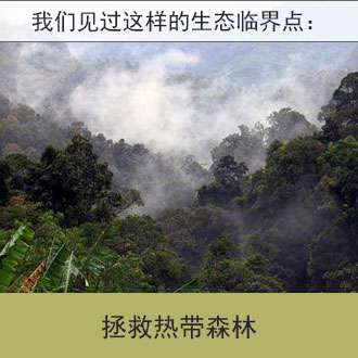 Reversing Tropical Deforestation: Agroforestry and Community Forest Management (Nakhon Sawan Province, Thailand)