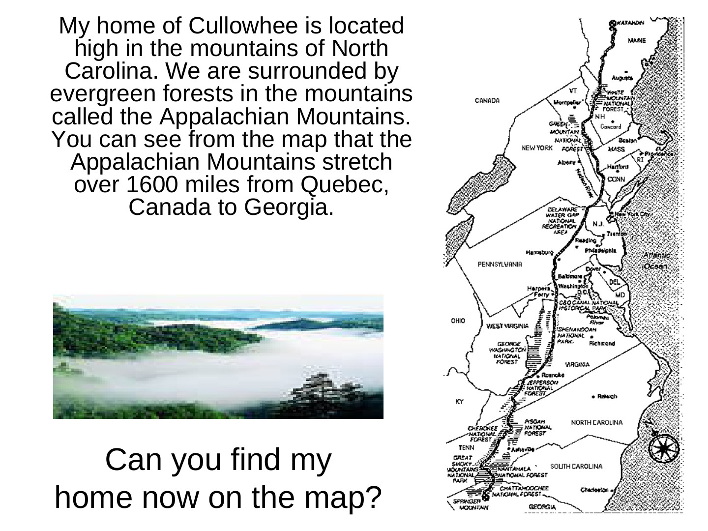 EcoTipping Points Mini Books: slide 5 of 81