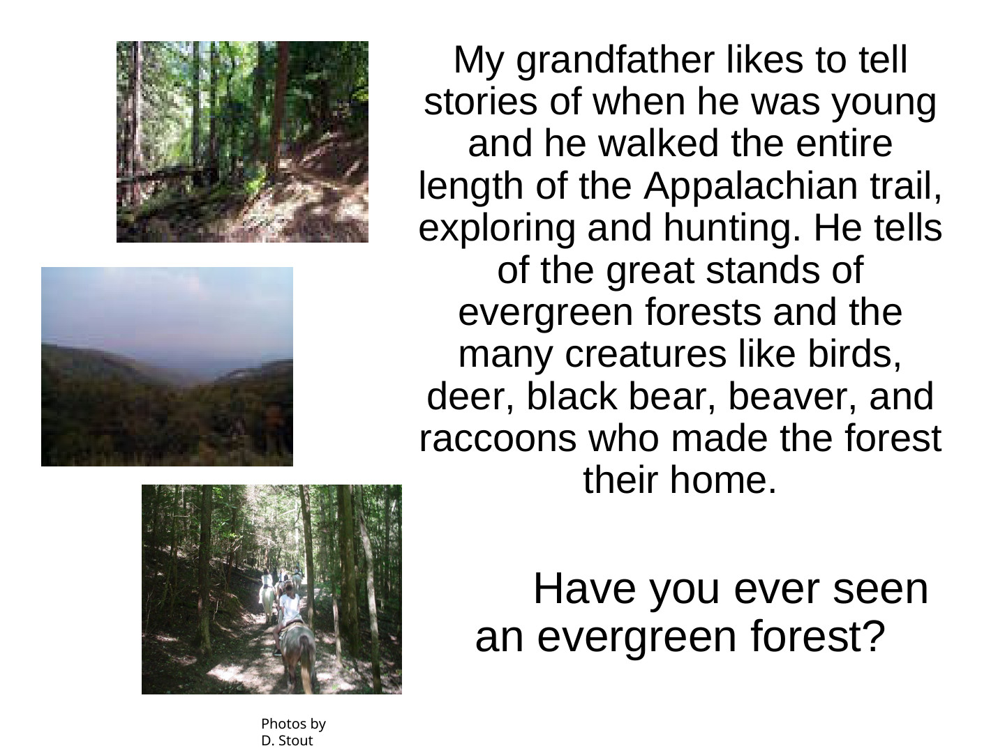 EcoTipping Points Mini Books: slide 6 of 81