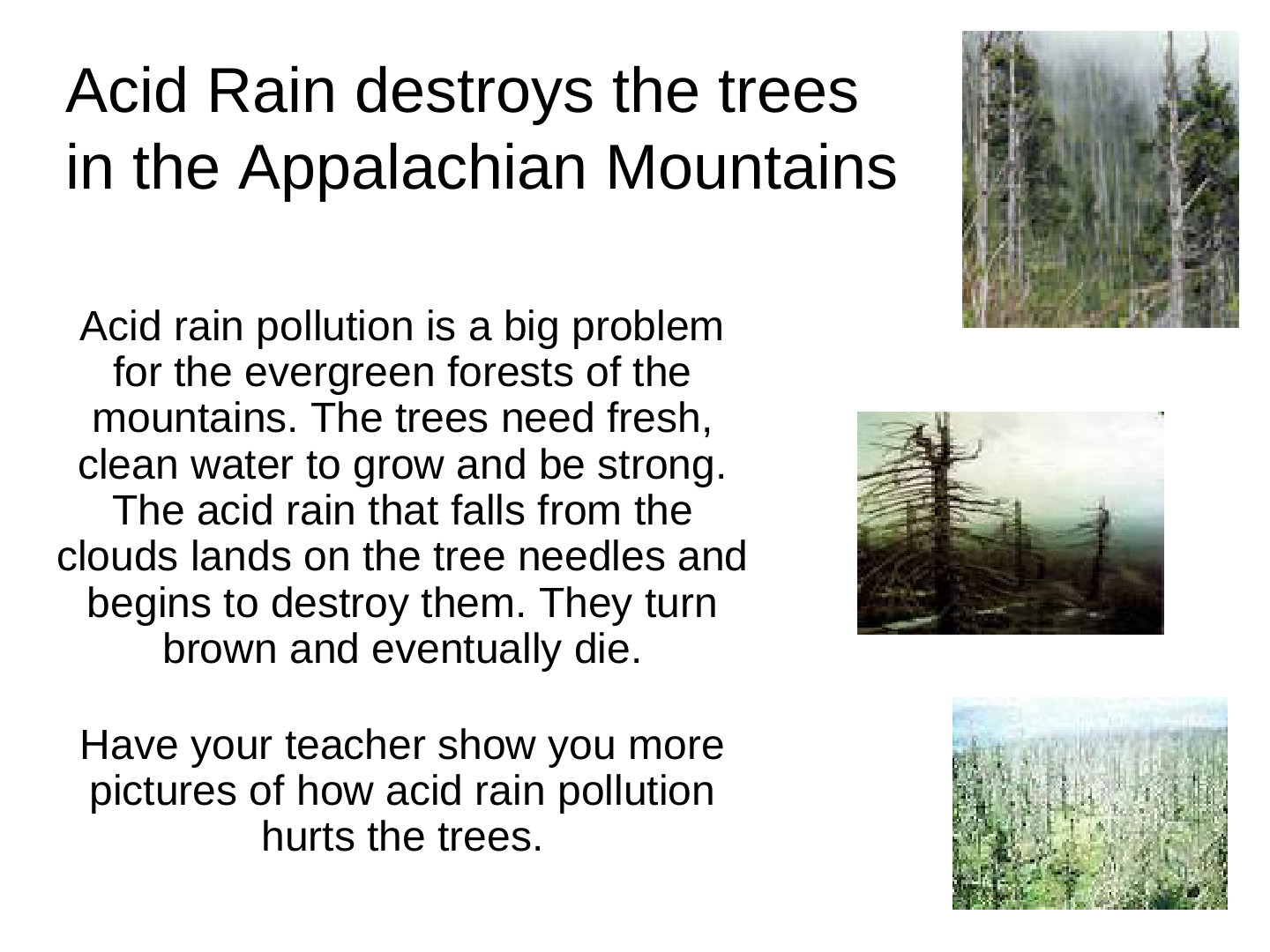 EcoTipping Points Mini Books: slide 10 of 81