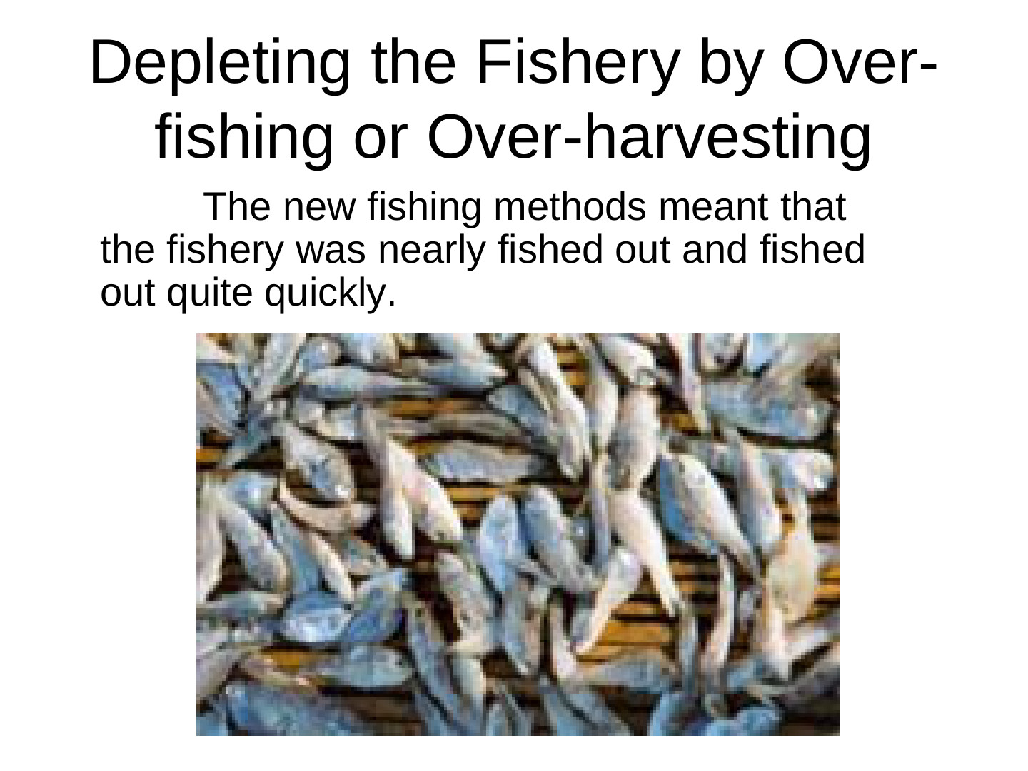 EcoTipping Points Mini Books: slide 47 of 81