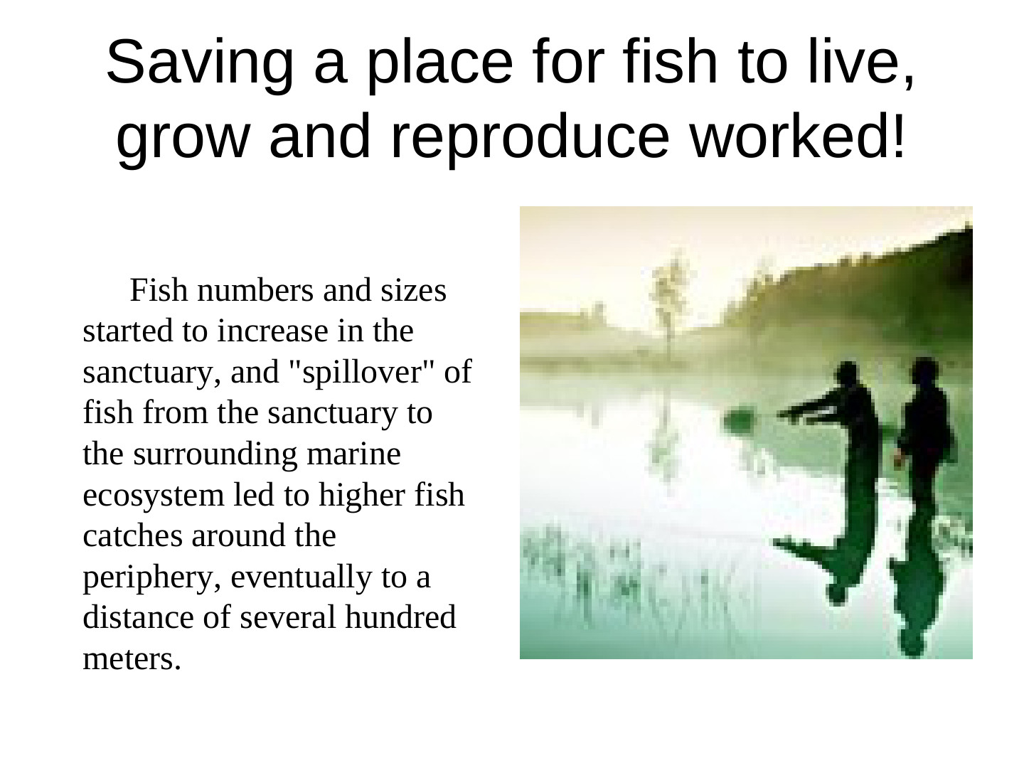 EcoTipping Points Mini Books: slide 51 of 81