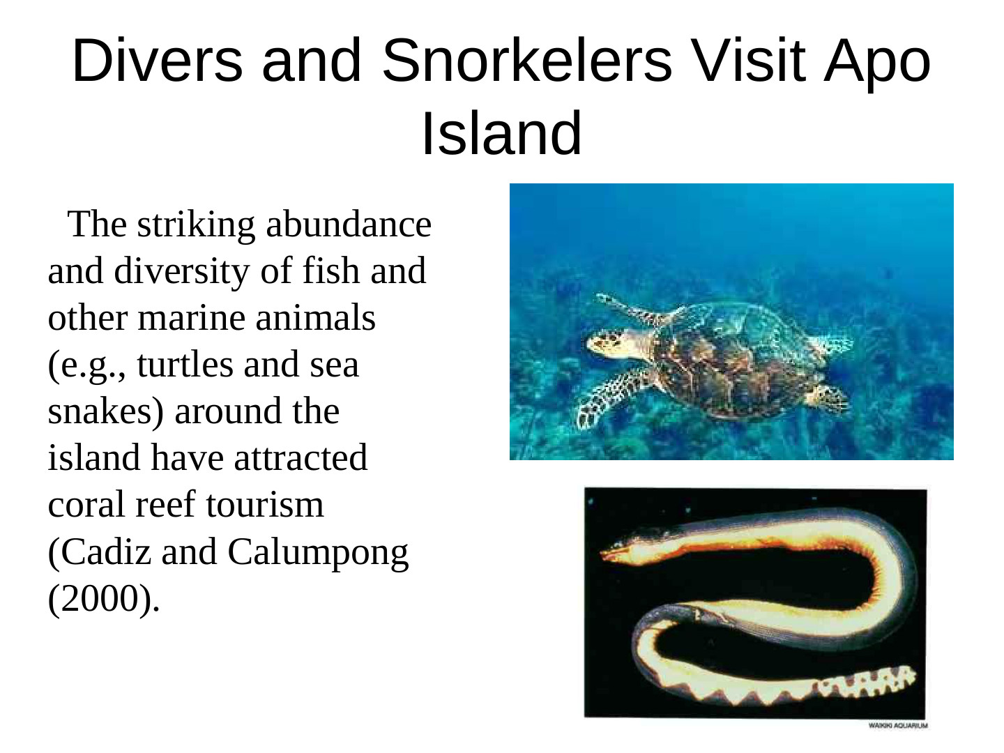 EcoTipping Points Mini Books: slide 53 of 81