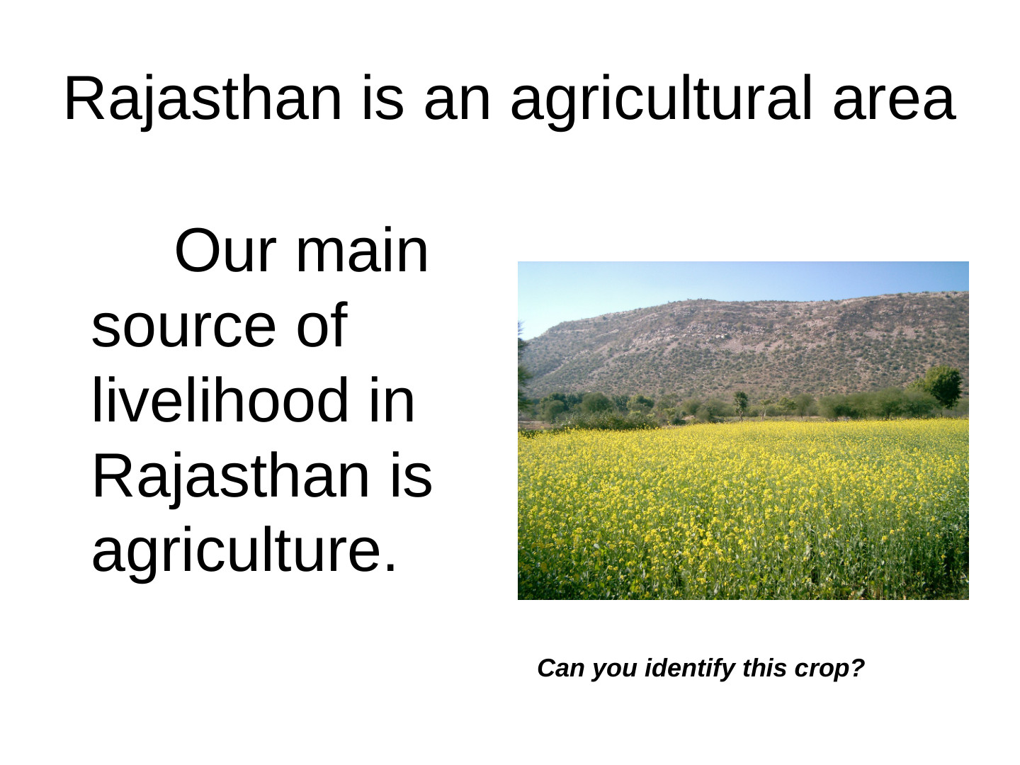 EcoTipping Points Mini Books: slide 67 of 81
