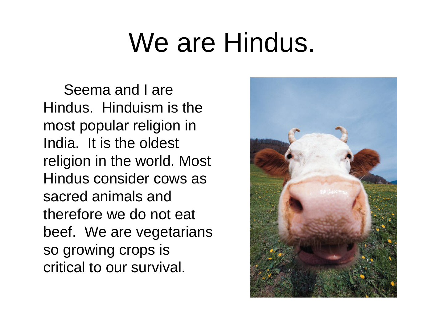 EcoTipping Points Mini Books: slide 68 of 81