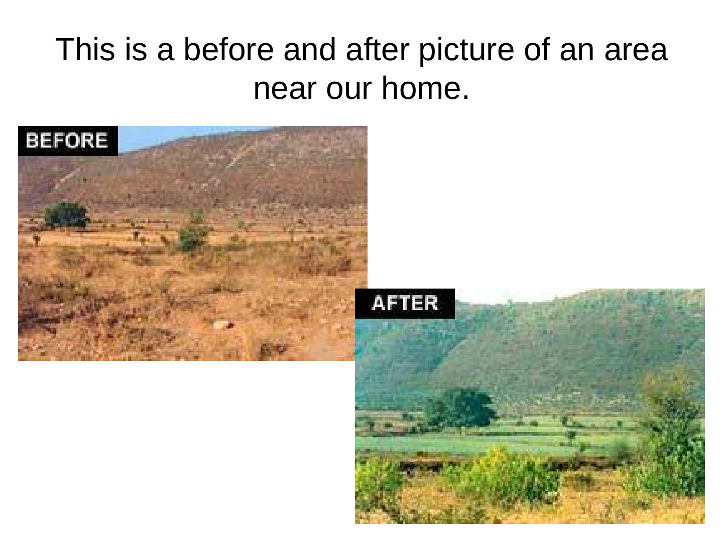EcoTipping Points Mini Books: slide 75 of 81