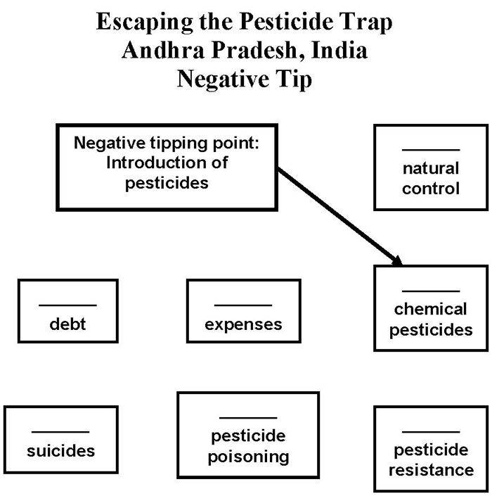 Escaping the Pesticide Trap (Andhra Pradesh, India)