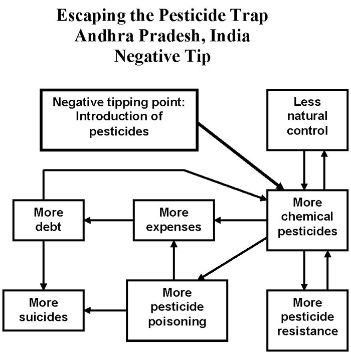 Escaping the Pesticide Trap (Andhra Pradesh, India)