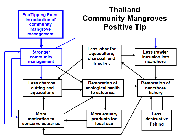 Community Mangrove Forests (Southern Thailand)