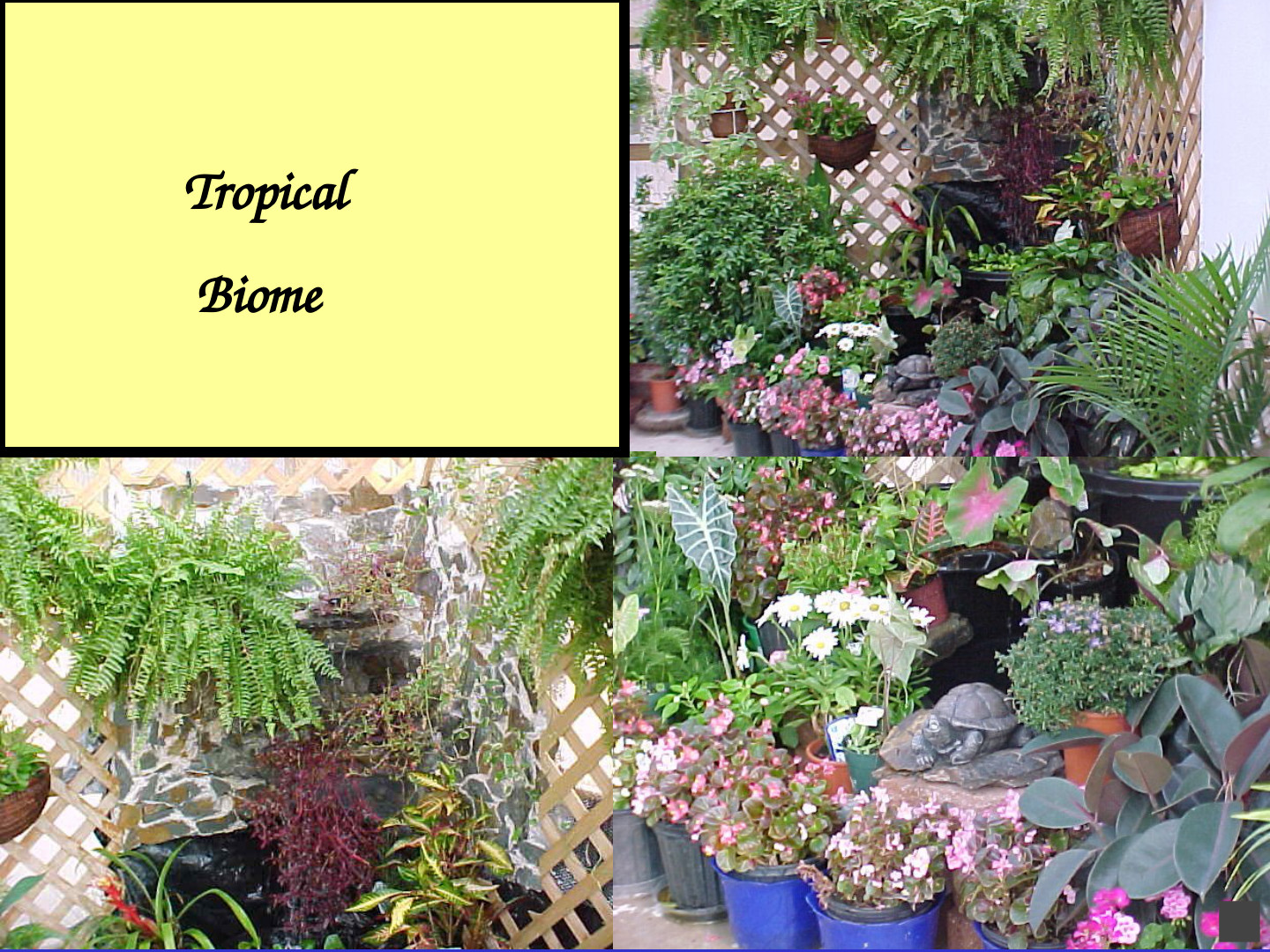 Habitat-Based Learning Center: slide 20 of 52