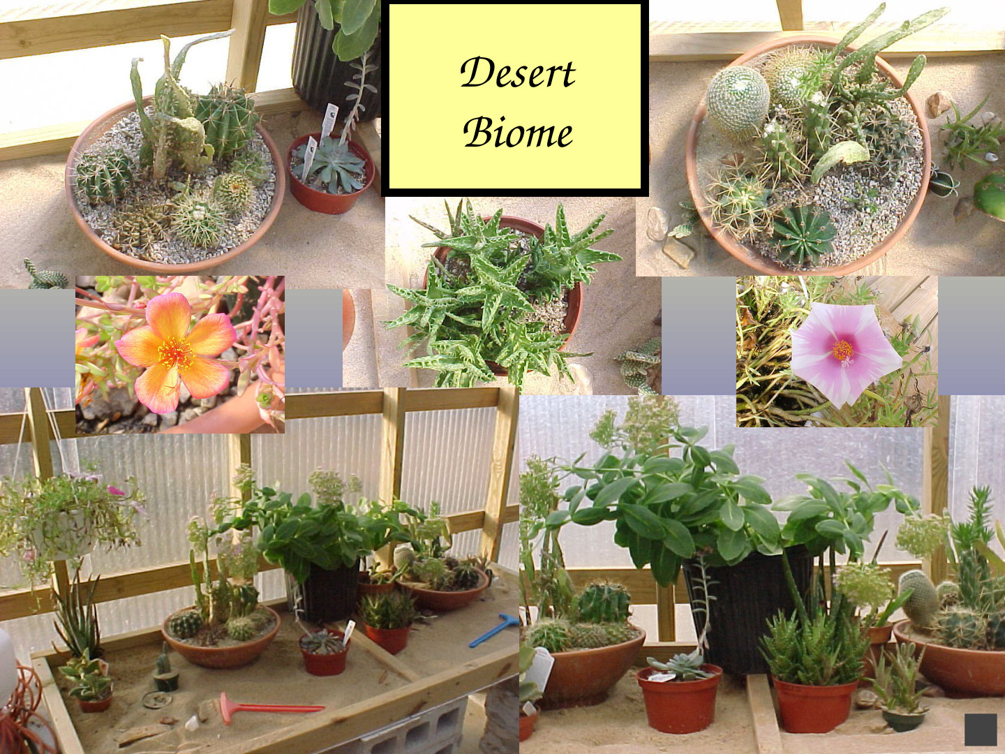 Habitat-Based Learning Center: slide 21 of 52