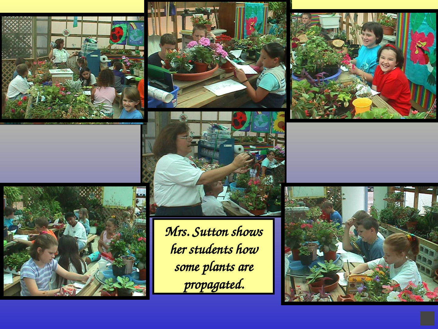 Habitat-Based Learning Center: slide 24 of 52