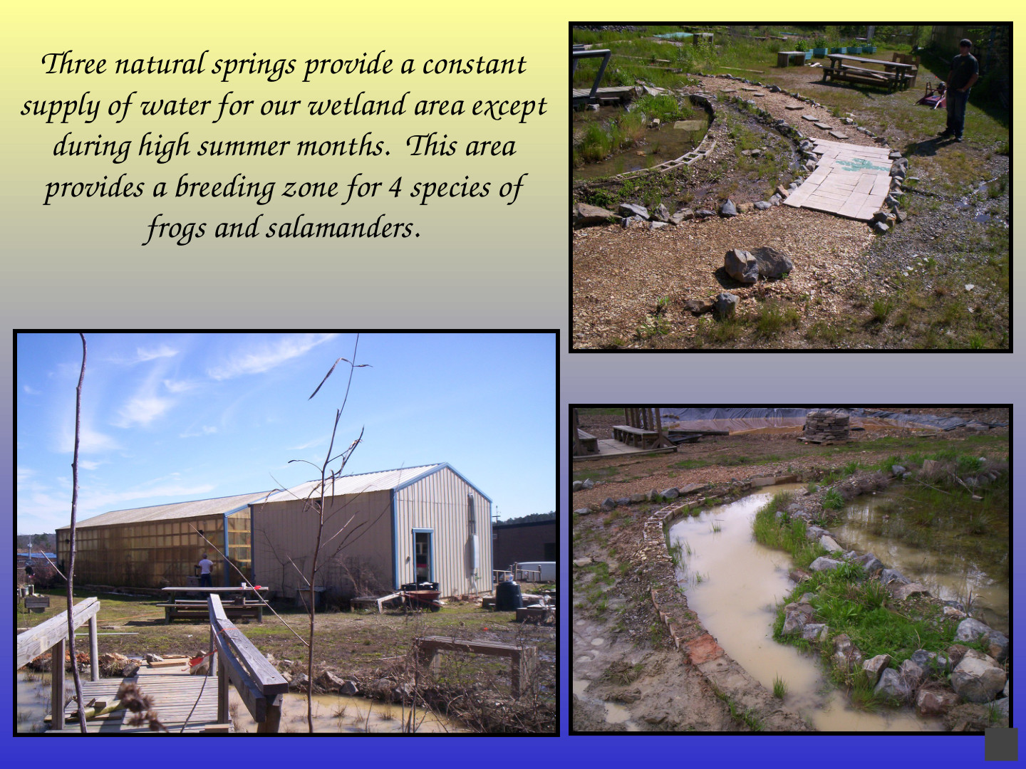 Habitat-Based Learning Center: slide 35 of 52