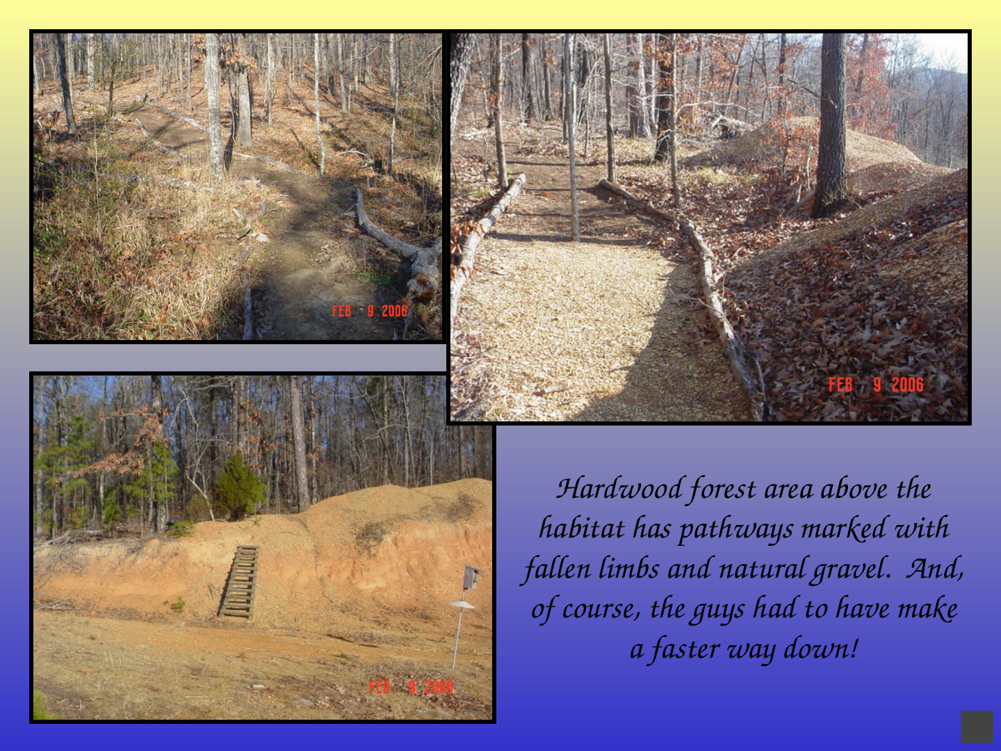 Habitat-Based Learning Center: slide 37 of 52