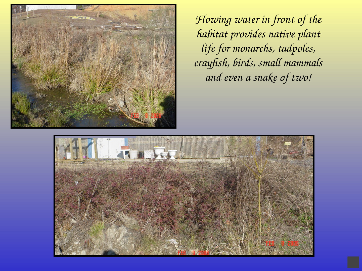 Habitat-Based Learning Center: slide 38 of 52