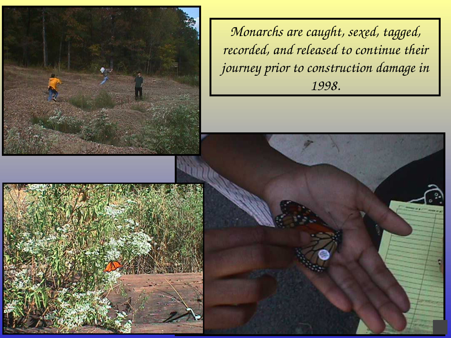 Habitat-Based Learning Center: slide 39 of 52