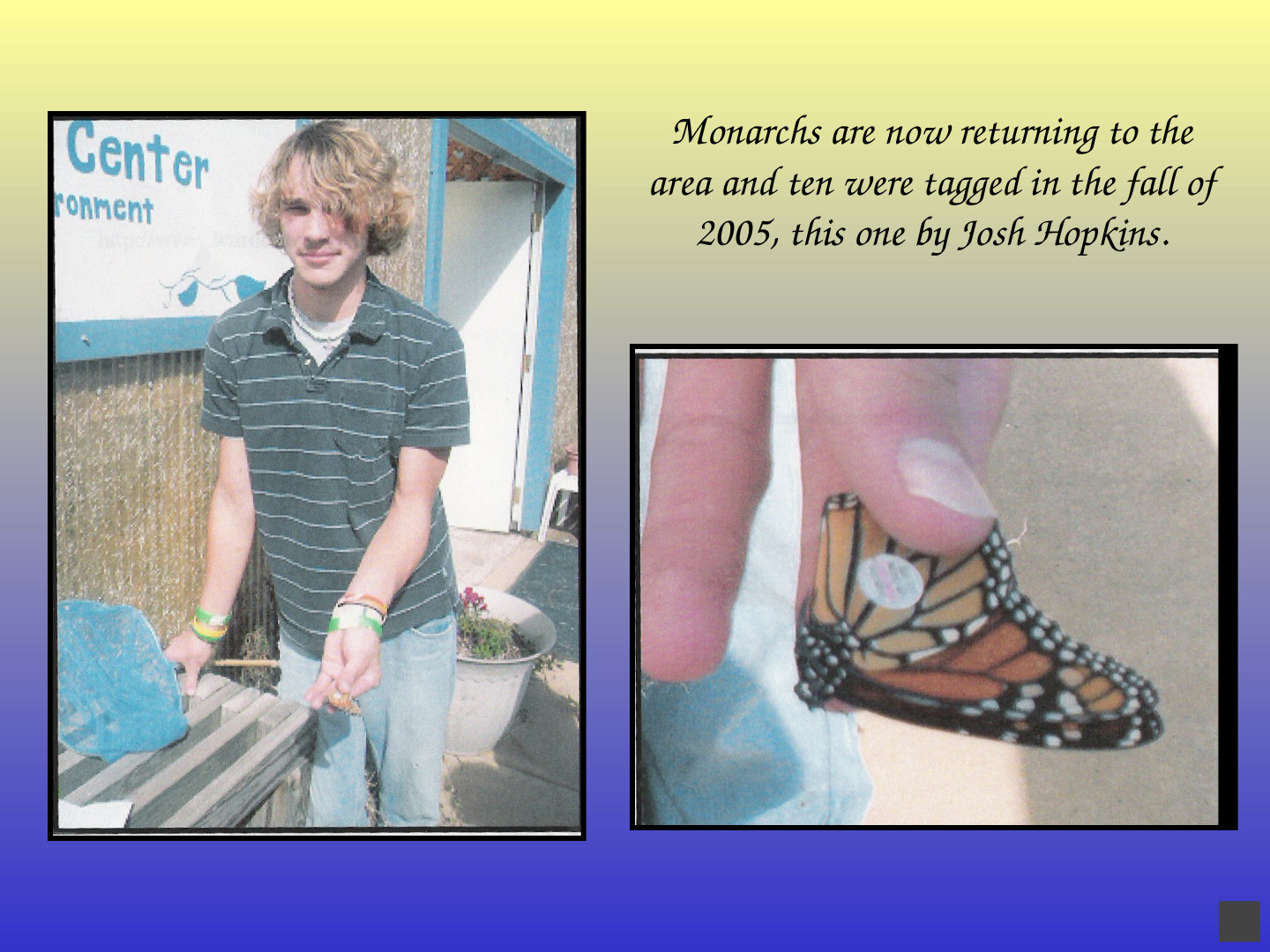 Habitat-Based Learning Center: slide 40 of 52