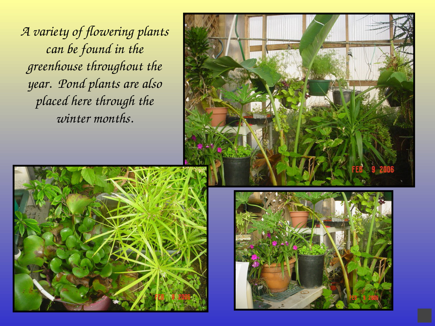 Habitat-Based Learning Center: slide 43 of 52