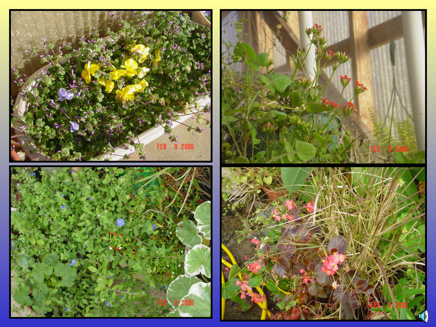 Habitat-Based Learning Center: slide 44 of 52