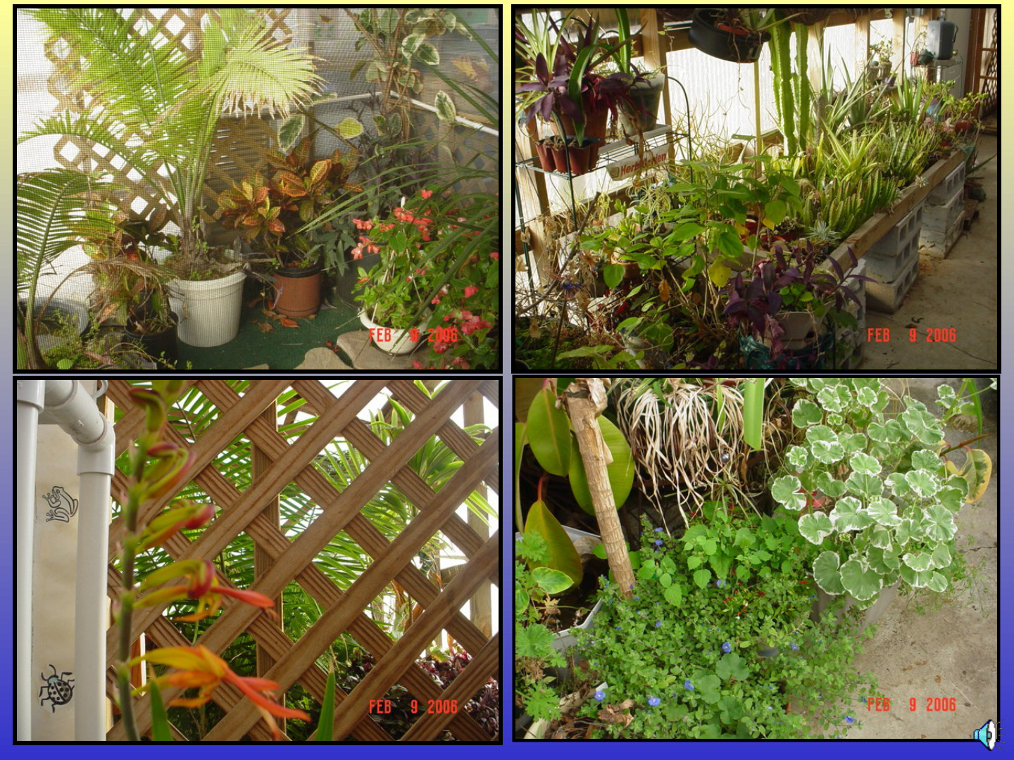 Habitat-Based Learning Center: slide 45 of 52