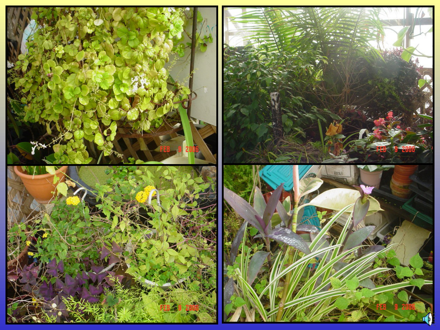 Habitat-Based Learning Center: slide 46 of 52