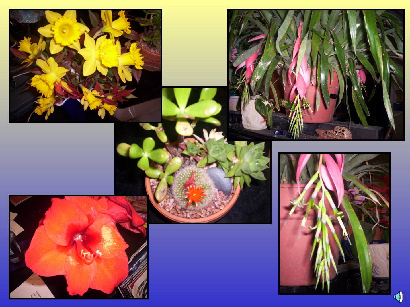 Habitat-Based Learning Center: slide 48 of 52