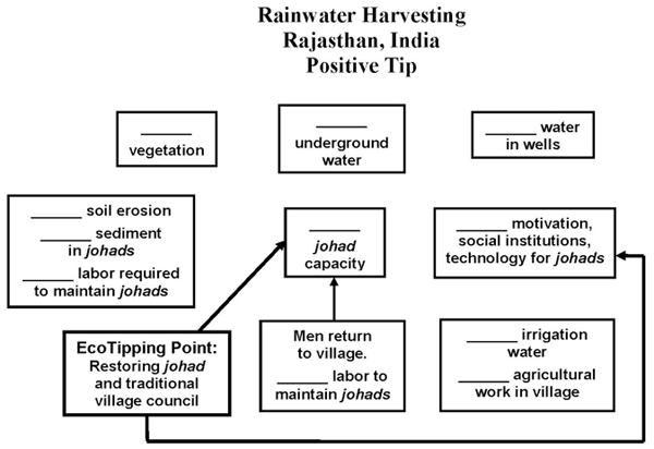 Rainwater Harvest (Rajasthan, India)