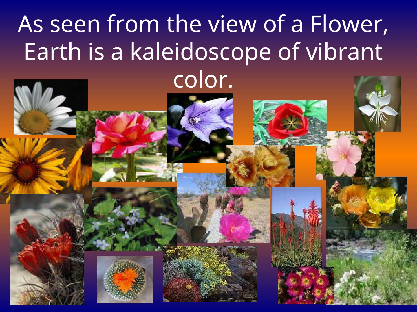 An Introduction to Environmental ED: slide 4 of 27