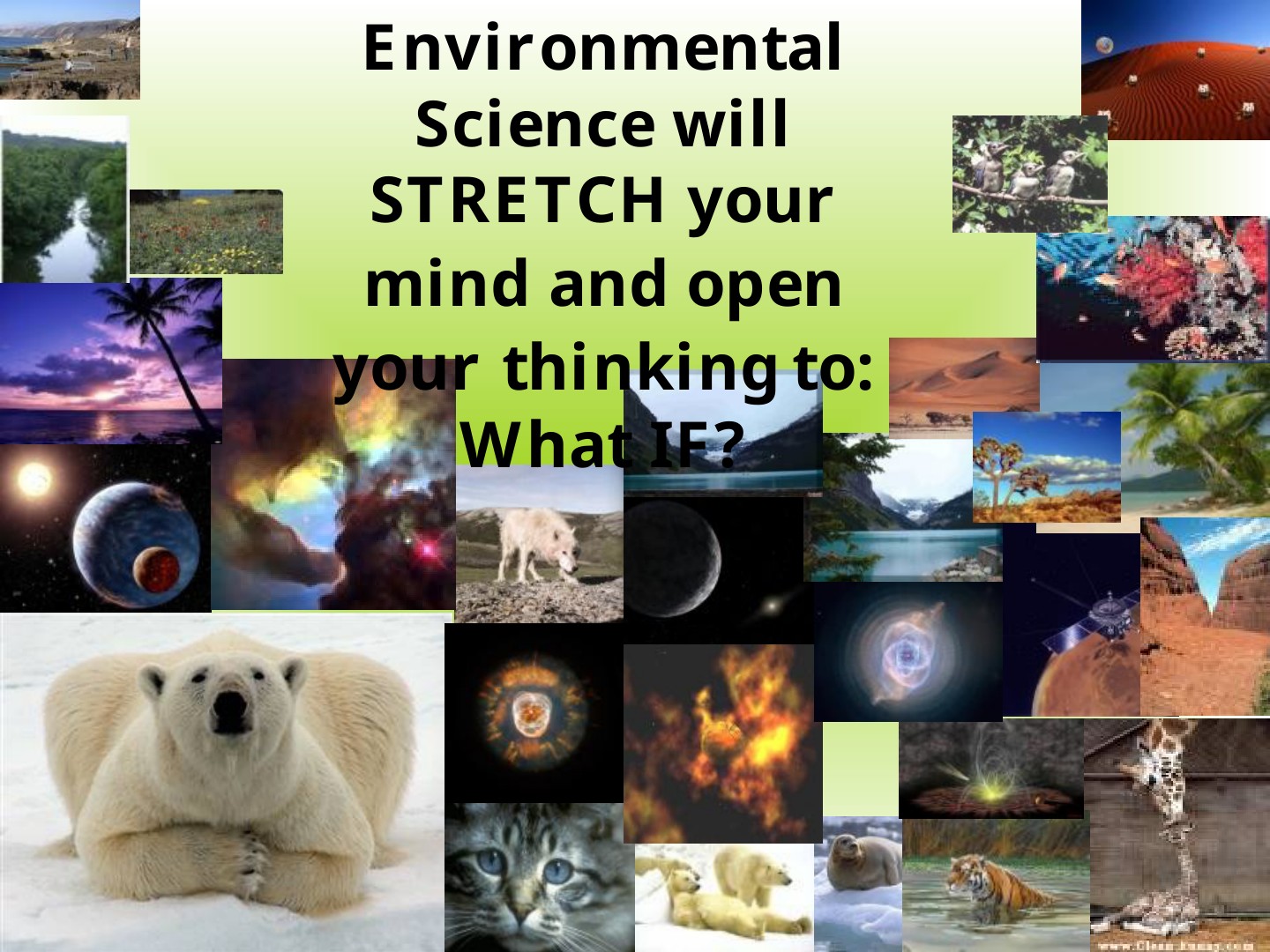 An Introduction to Environmental ED: slide 27 of 27