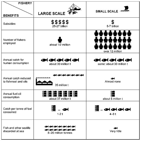 Figure 3. Impacts of large-scale vs. small-scale fishing operations