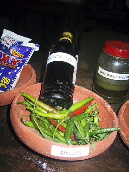 Ingredients for making chili-garlic solution