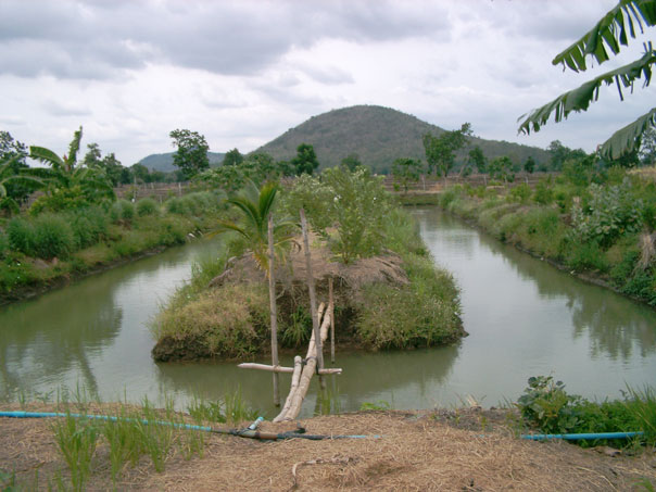 Irrigation pond on Ajaan Thanawms farm