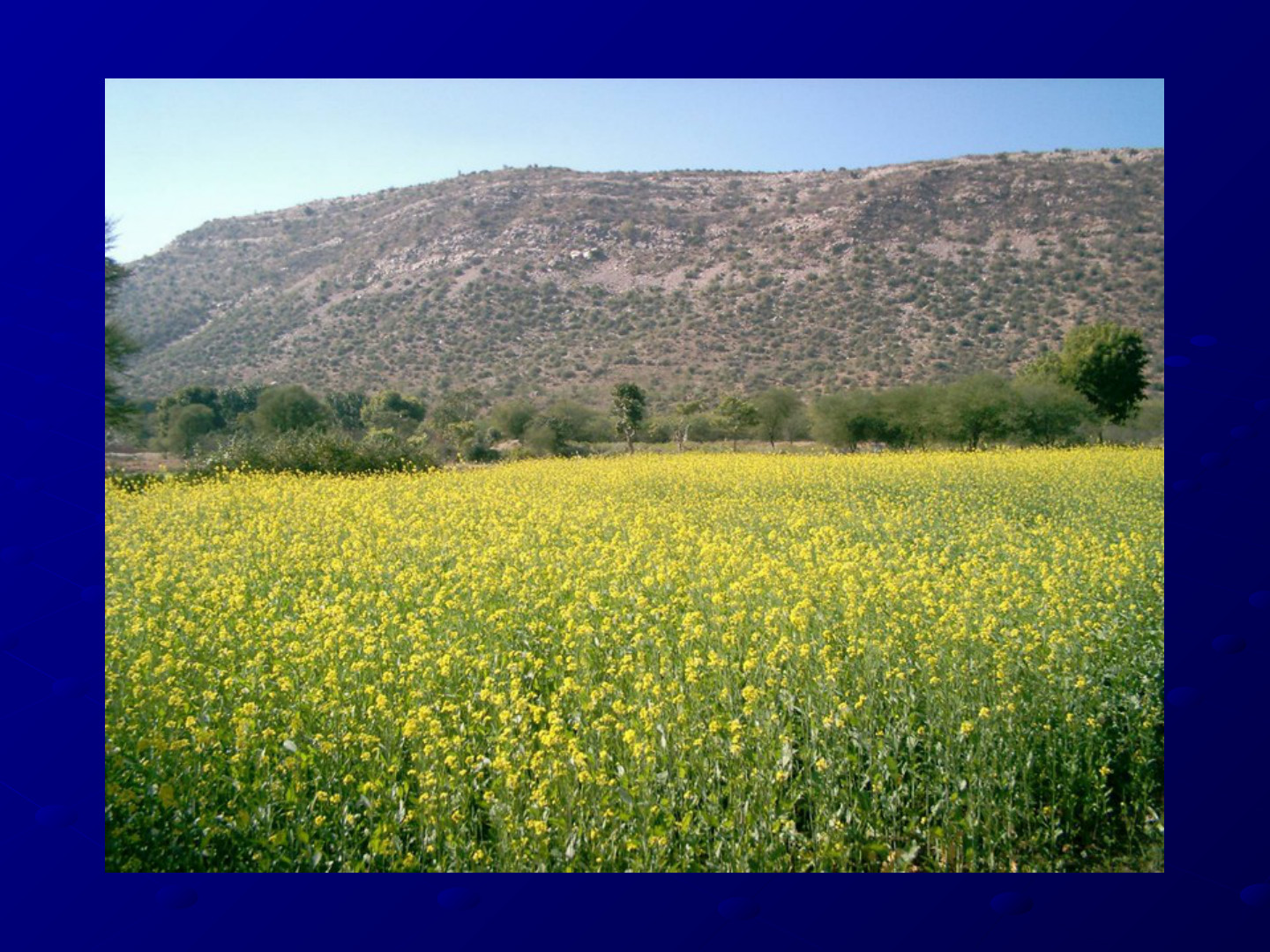 ETP EcoTipping Points PowerPoint presentation: slide 70 of 83