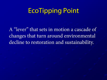 Presentation slide 3