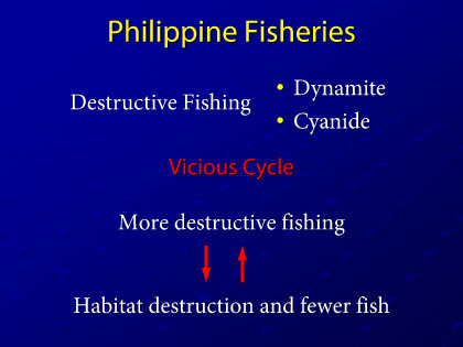 Presentation slide 4