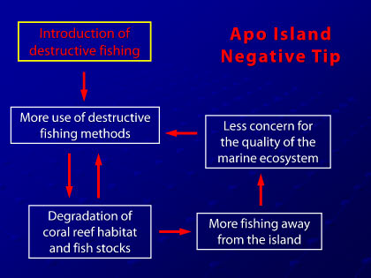 Presentation slide 6