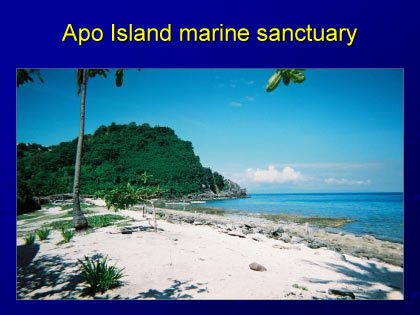 Presentation slide 8