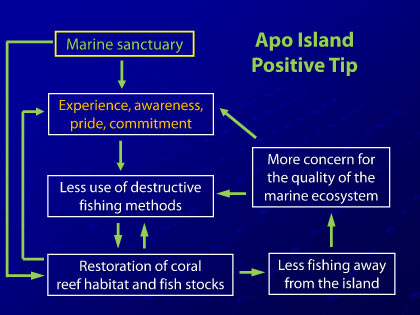 Presentation slide 10