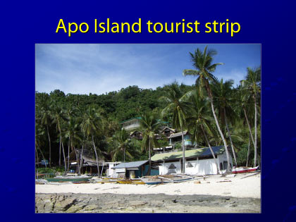 Presentation slide 11