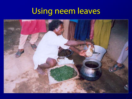 Presentation slide 16