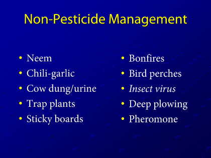 Presentation slide 17