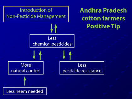 Presentation slide 18