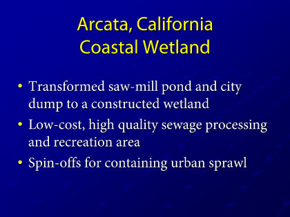 Presentation slide 33