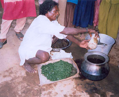 Figure 10. Preparing neem solution.