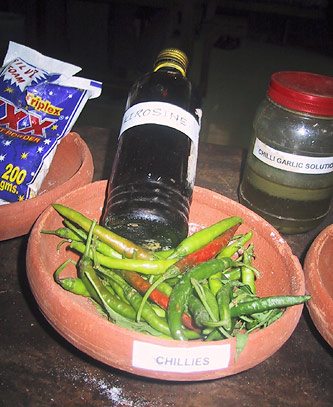 Ingredients for chili-garlic solution, displayed at a SECURE exhibit on Non-Pesticide Management.