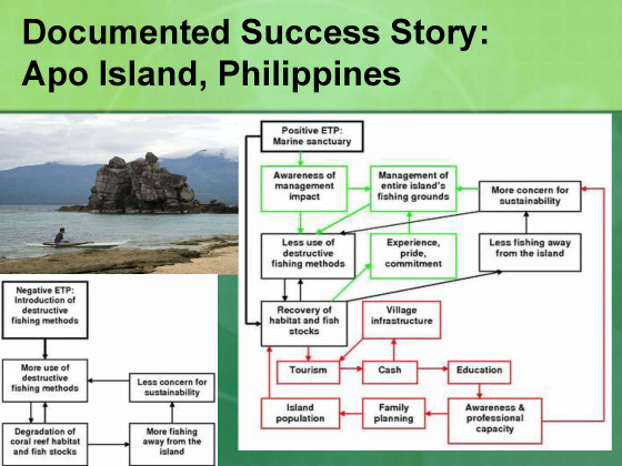 Presentation slide 6