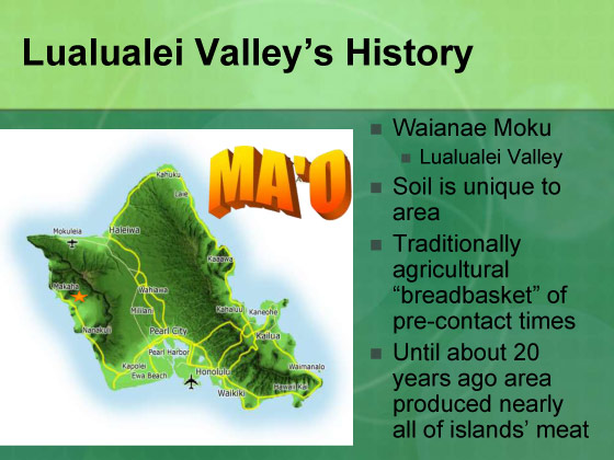 Presentation slide 10